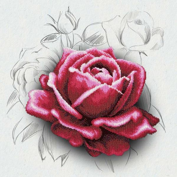 Buy Bead embroidery kit-Rose Drawing-11038