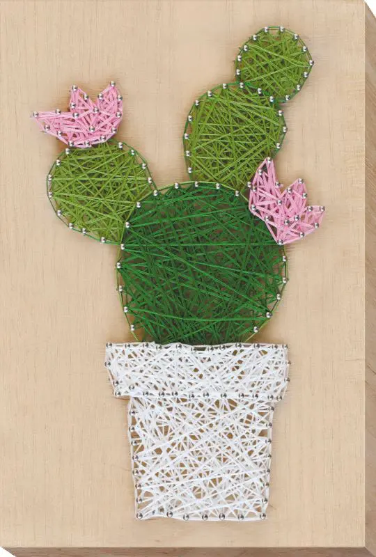 Buy String art kit - Cactus-ABC-002