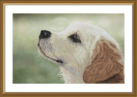 Buy Cross stitch kit Faithful Friend-Ac5002