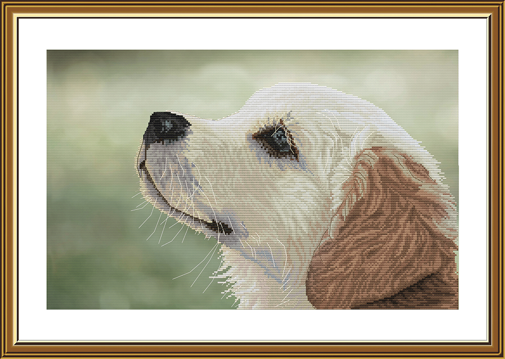 Buy Cross stitch kit Faithful Friend-Ac5002