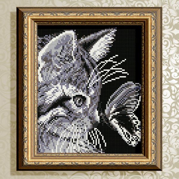 Buy Diamond painting kit - Cat with butterfly - AT5512