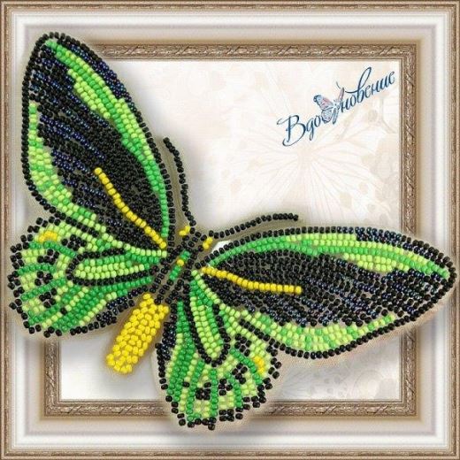 Buy Bead embroidery kit Butterfly-Pitacreyl Priam-BGP008