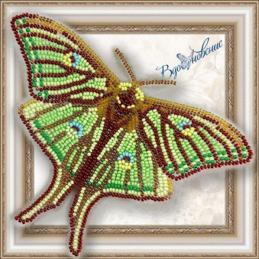 Buy Bead embroidery kit Butterfly-Grelis Isabella-BGP016