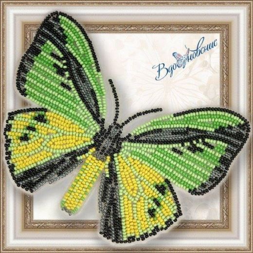 Buy Bead embroidery kit Butterfly-Ptitsekri Goliath-BGP020