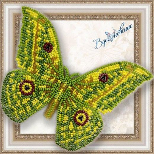Buy Bead embroidery kit Butterfly-Aurivillius-BGP032