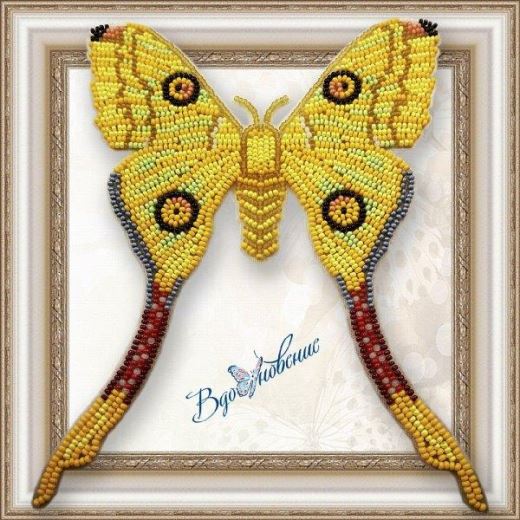 Buy Bead embroidery kit Butterfly-Madagaskar Kometa-BGP041