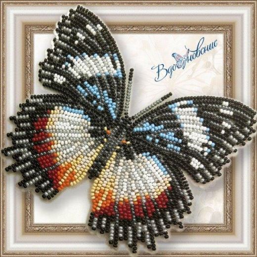Buy Bead embroidery kit Butterfly-Gipolimnas deksiteya-BGP044
