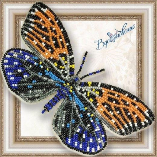 Buy Bead embroidery kit Butterfly-Erasmiya-BGP045