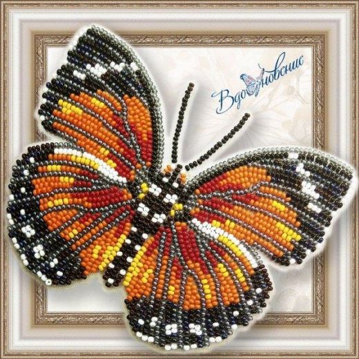 Buy Bead embroidery kit Butterfly-Euphaedra Eleus-BGP057