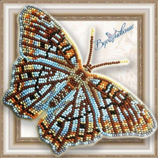 Buy Bead embroidery kit Butterfly-White Peacock-BGP058