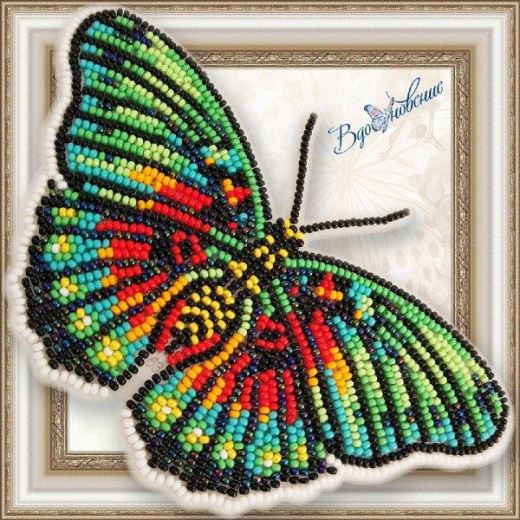 Buy Bead embroidery kit Butterfly-Euphaedra edwardsi-BGP063