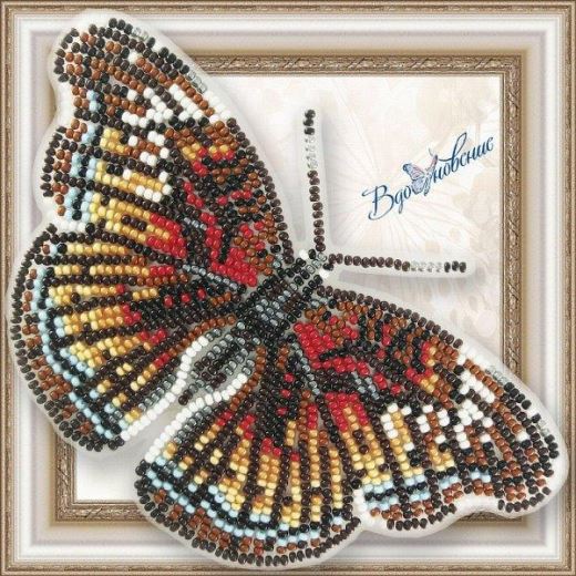 Buy Bead embroidery kit Butterfly-Euryphura Ñhalcis-BGP073
