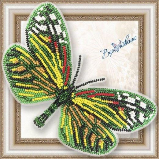 Buy Bead embroidery kit Butterfly-Campylotes Histrionicus-BGP074