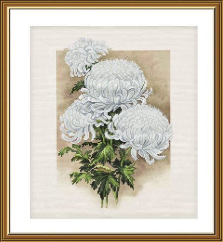 Buy Cross stitch kit White Chrysanthemum-Cp2282