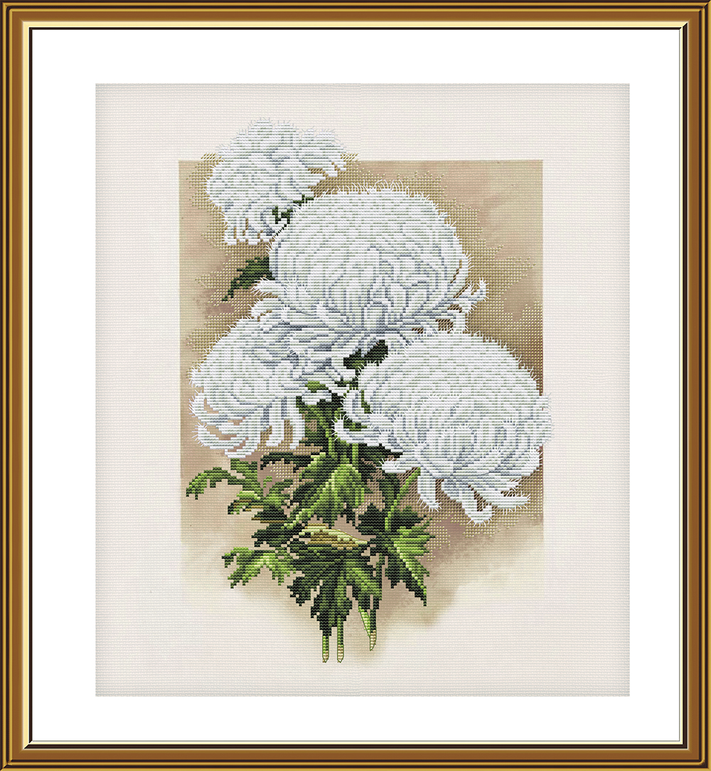 Buy Cross stitch kit White Chrysanthemum-Cp2282