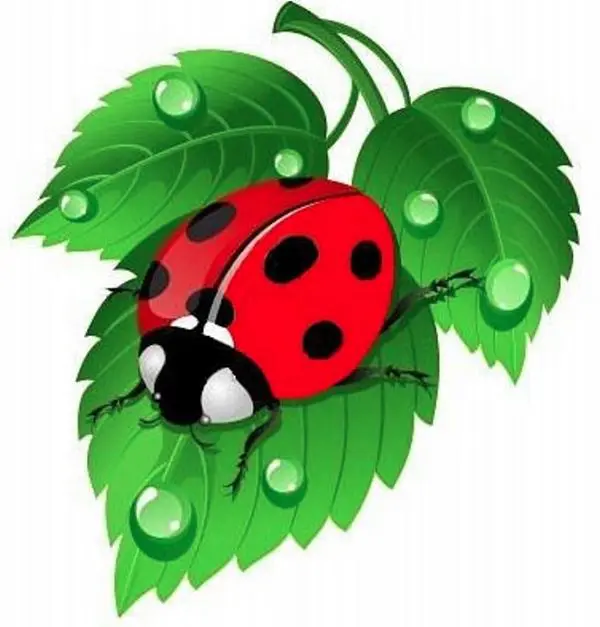 Buy Diamond painting kit-Ladybug-DM-004