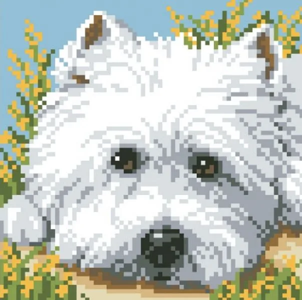 Buy Diamond painting kit-Puppy view-DM-007