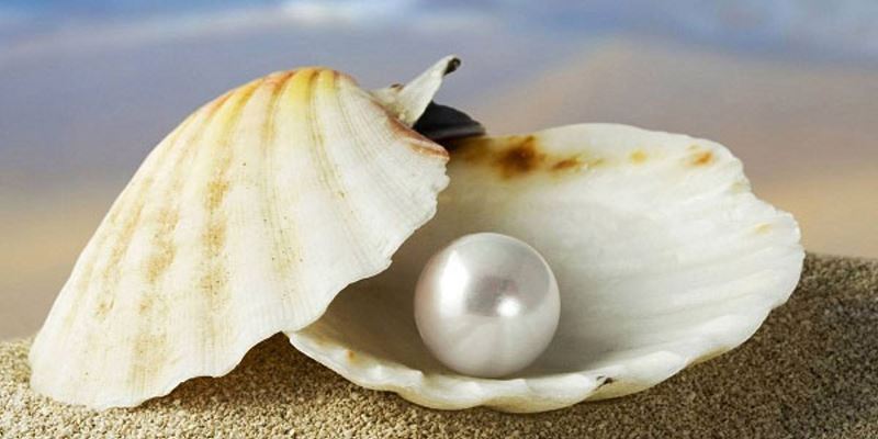Buy Diamond painting kit-Sea pearl-DM-031