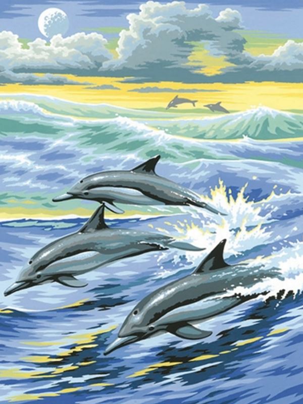 Buy Diamond painting kit-Family of dolphins-DM-043