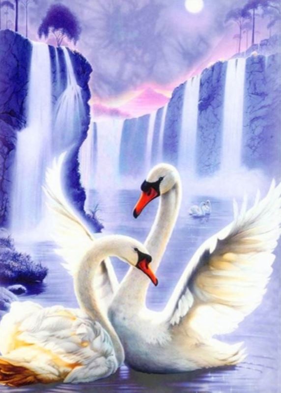 Buy Diamond painting kit-A pair of swans-DM-047