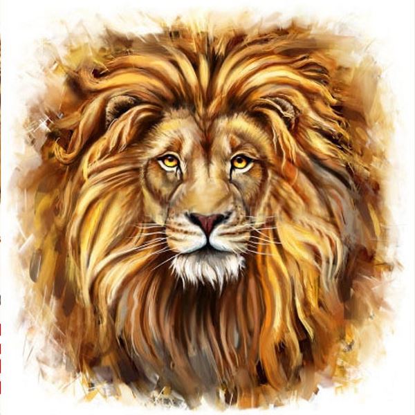 Buy Diamond painting kit-Lion view-DM-051