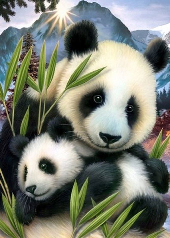 Buy Diamond painting kit-Cute panda-DM-105