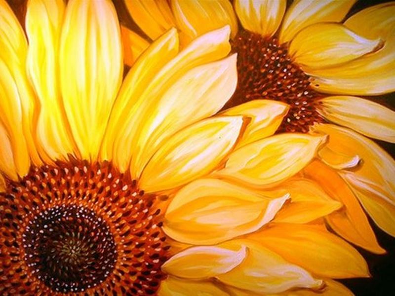 Buy Diamond painting kit-Flowing sunflowers-DM-113