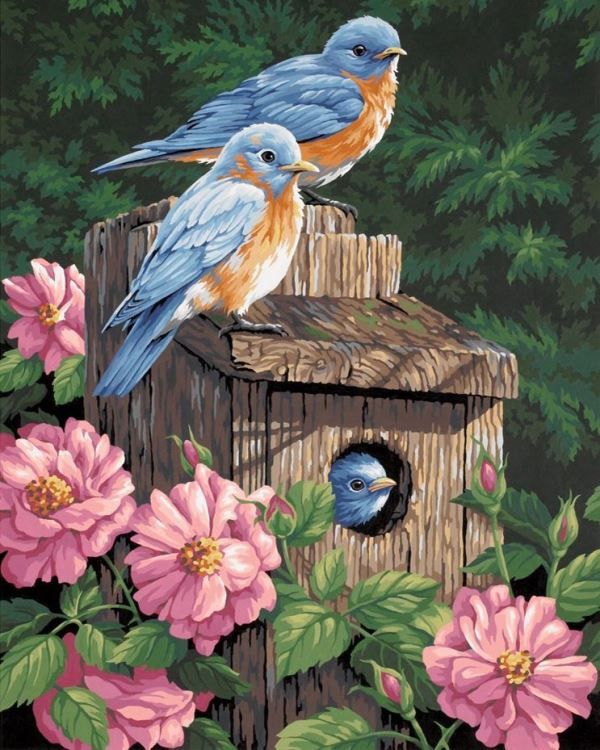 Buy Diamond painting kit-Bird's house in pions-DM-117
