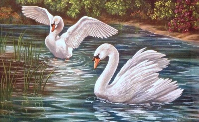 Buy Diamond painting kit-Swan park-DM-125