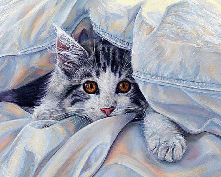 Buy Diamond painting kit-A cat under blanket-DM-143