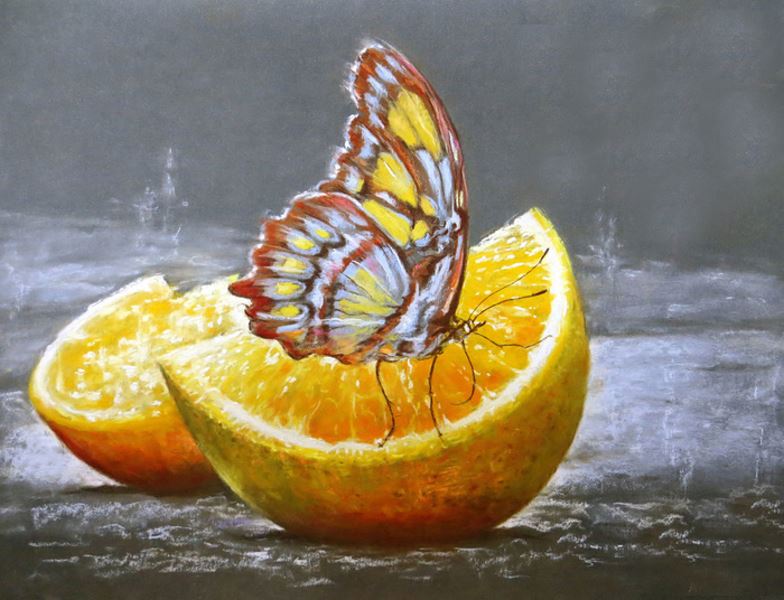 Buy Diamond painting kit-Butterfly on orange-DM-180