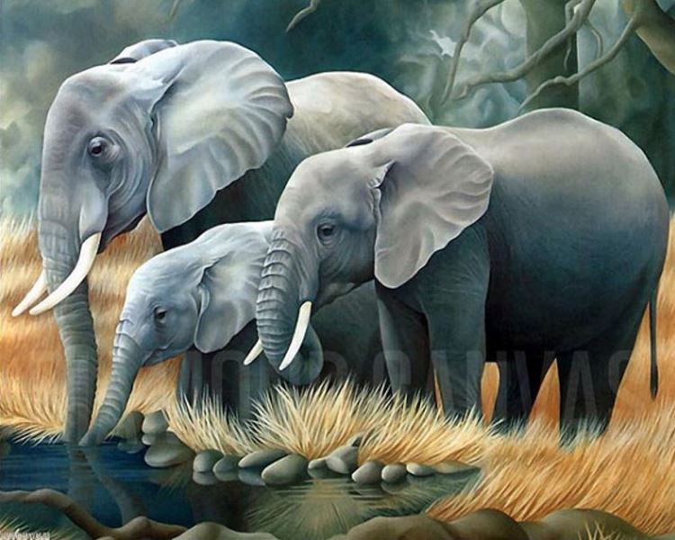 Buy Diamond painting kit-Family of elephants-DM-189