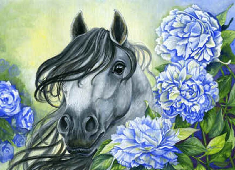 Buy Diamond painting kit-Horse in colors-DM-191