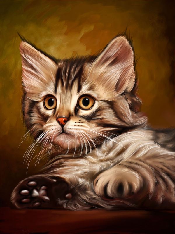Buy Diamond painting kit-Cute kitten-DM-194