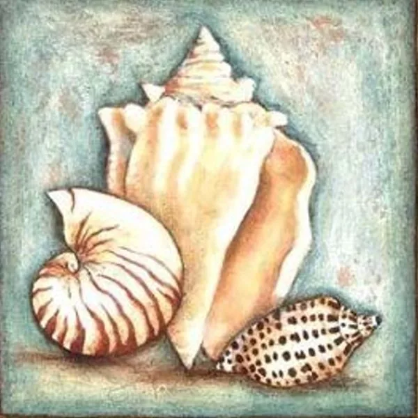 Buy Diamond painting kit-Sea shells-DM-214