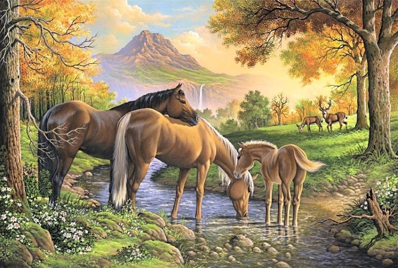 Buy Diamond painting kit-Family of horses-DM-250