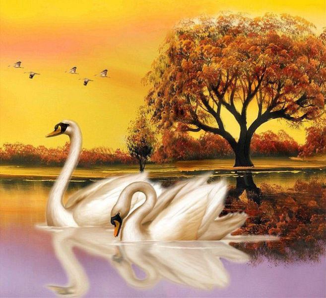 Buy Diamond painting kit-Swans on the pond-DM-259