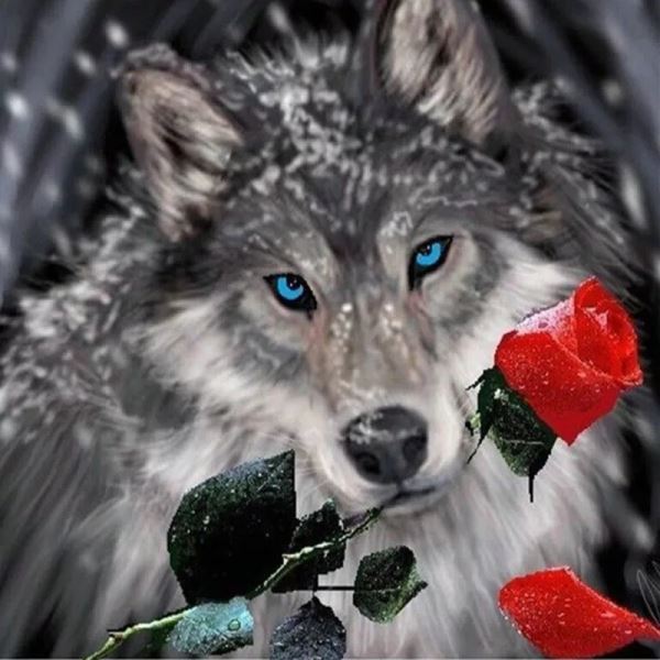 Buy Diamond painting kit-Wolf with rose-DM-272