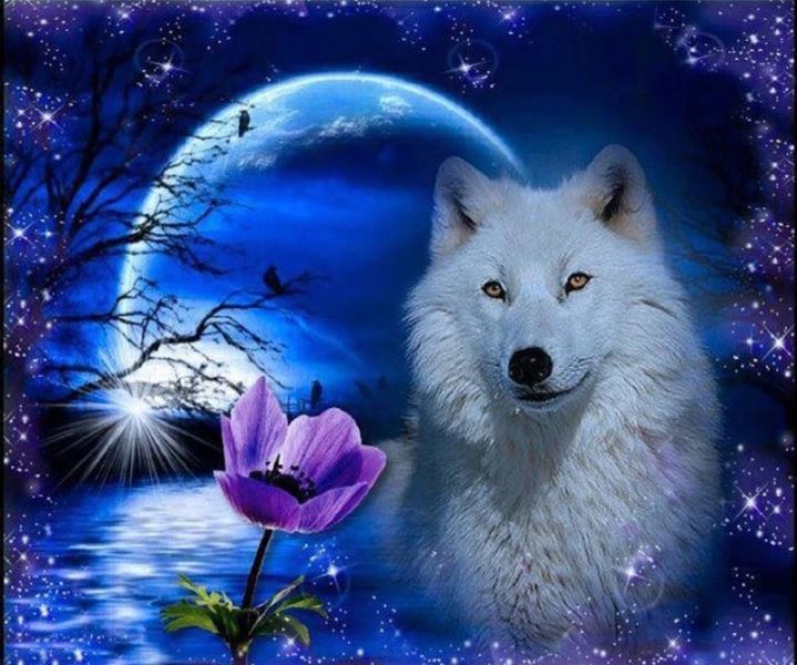 Buy Diamond painting kit-White wolf-DM-274