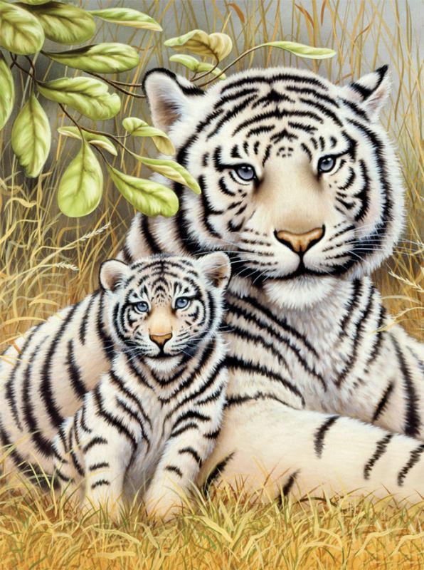 Buy Diamond painting kit-Love of the tigress-DM-284