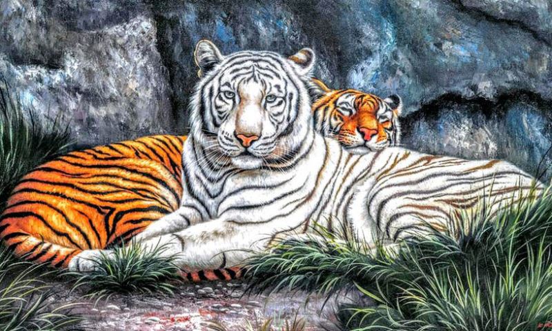 Buy Diamond painting kit-Tigers on rest-DM-288