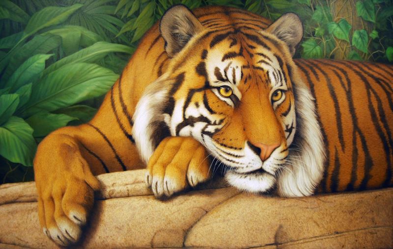 Buy Diamond painting kit-The wise tiger-DM-289
