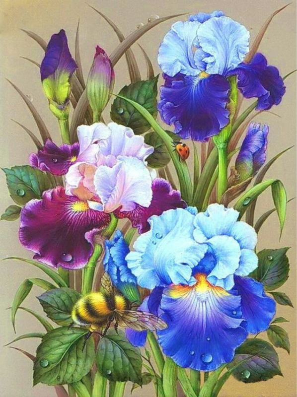 Buy Diamond painting kit-Bright irises-DM-294