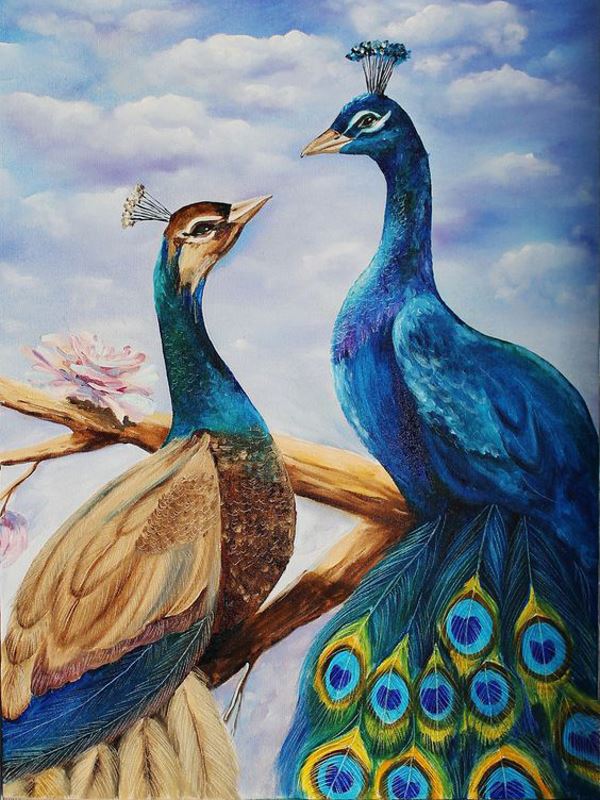 Buy Diamond painting kit-Loved peacock-DM-299