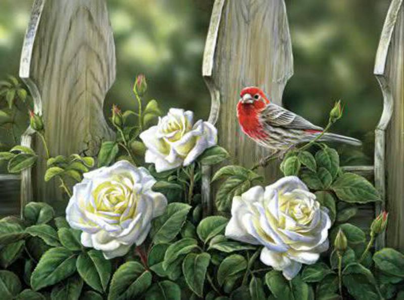Buy Diamond painting kit-Bird on garden roses-DM-330