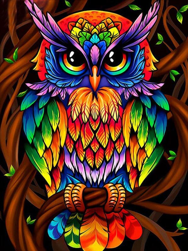 Buy Diamond painting kit-Colorful owl-DM-335