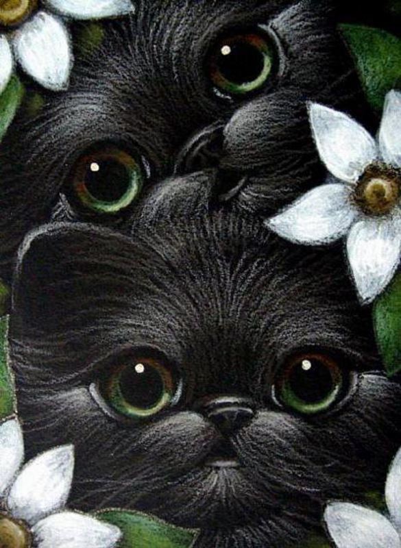 Buy Diamond painting kit-Green-eye kittens-DM-342