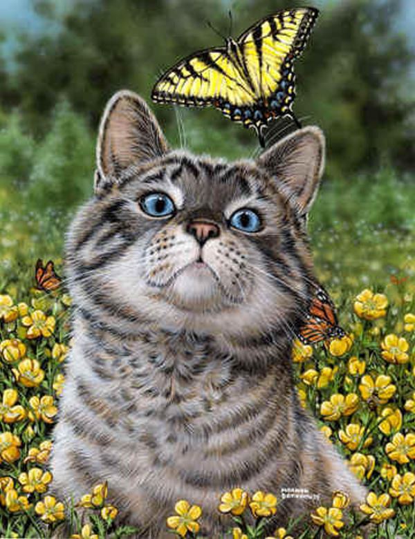 Buy Diamond painting kit-Cat with butterfly-DM-359