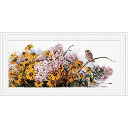 Buy Cross stitch kit Chernooky Susan and Phlox-K-208