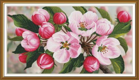 Buy Cross stitch kit Apple Aroma-Sr1526